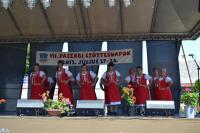 2012-07-28_VII_szottesnap_28