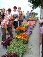 Önkéntes nap Paszabon 04