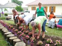 Önkéntes nap Paszabon 14