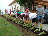 Önkéntes nap Paszabon 22