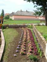 Önkéntes nap Paszabon 28