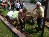 Önkéntes nap Paszabon 29