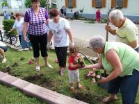 Önkéntes nap Paszabon 30