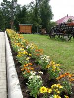 Önkéntes nap Paszabon 31