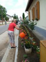 Önkéntes nap Paszabon 33